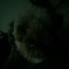 chavesh6