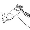 sadhorse