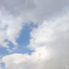 aysxfcfv