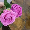 dyako_zardasht