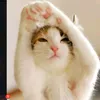 jfsitsitdiyc