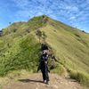 auliar_04