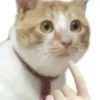 quithck_