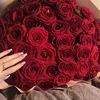noussa_1323