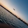 mohammedganem03
