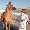 صالح صومان .