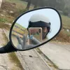 hongloann_08