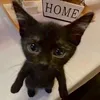 m0bink