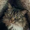 teddythecat19