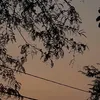 2mgh00