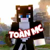 toanminecraft