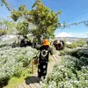 nganngan070197