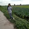 phuongsokha