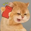dungng98