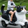 lilyakrarsy