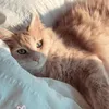 nastya._767
