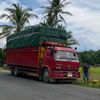 putratanjung0033_