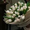 amb3d013