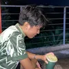 zanzjzj