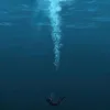 anhtuan78_h1