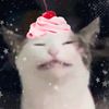 ddeungie ✦