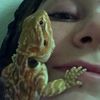 reptilezrcute