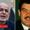imranstanikzai8