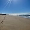 pacific_mama