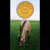 prairielifewellness