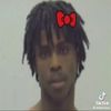 n_cantlon21