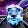geozoid7