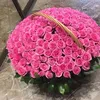 hozz_44