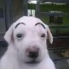 alex_se12