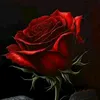 user9910163688634
