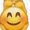 ur.favv.virgooo