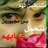 user259174550