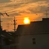 ttyt.01
