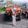sylfi_