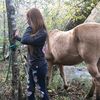 Country_lexie
