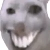 31595847369
