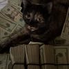 hunnyutrades