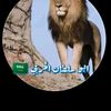 abusultan4040