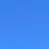 username273678391