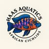 haasaquatics