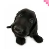 laagoonaabluuee