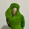 flaviabmiguel