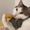 punkiedunky