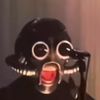 tachibanadesu