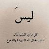 user1290060676064