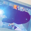 chloeledger17563